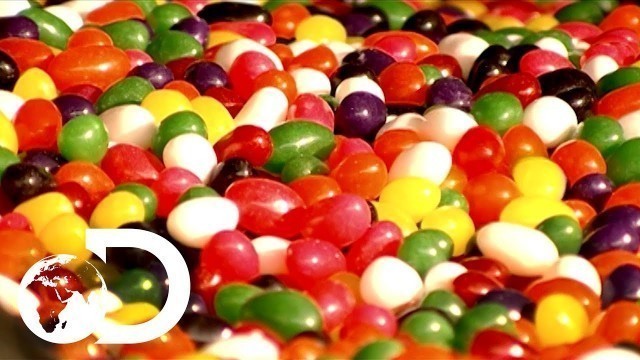 'Jelly Beans | How It\'s Made'