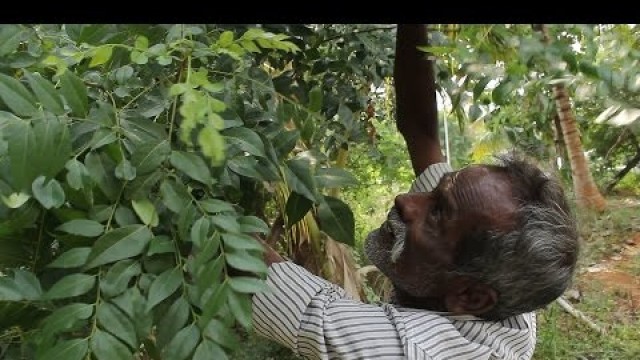 'Goat Blood prepared by my daddy / Village food factory'