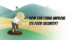 'How can China improve its food security?'