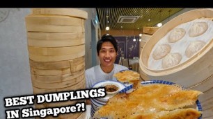 'BEST Dumplings in Singapore! | MASSIVE Chinese Dumpling Eating Mukbang'