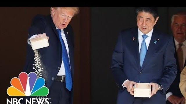 'President Donald Trump Dumps Fish Food At Tokyo\'s Akasaka Palace Feeding Ceremony | NBC News'