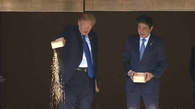 'Trump and Abe dump fish food into precious koi pond'