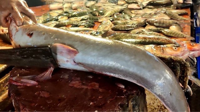 'Strange African Catfish Cutting In Fish Market | Magur Fish Cutting Skills'