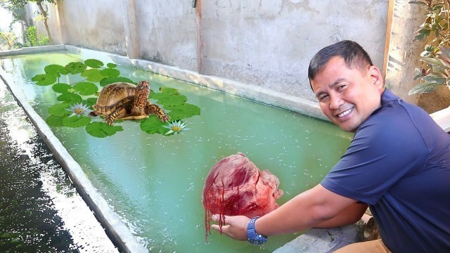 'WHY DO FISH GROW SO FAST WHEN FED WITH THIS FOOD?'