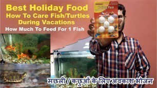 'Holiday food How to care fish in vacations Best holiday weekend food Aquarium fish'