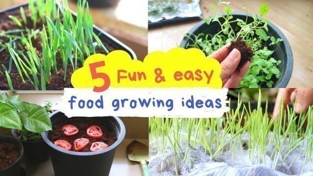 'Food that Kids can Grow during the Lockdown| Find everything in your kitchen | Gardenup Hindi'