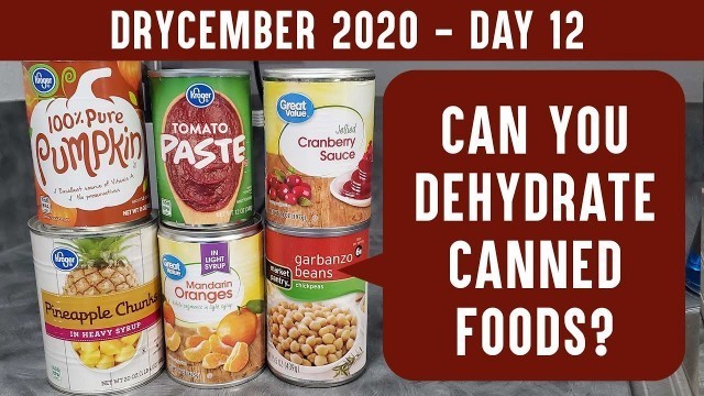 'CAN YOU DEHYDRATE CANNED FOOD: Drycember Day 12 - Make food storage more versatile'