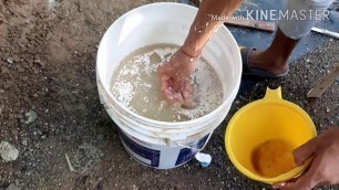 'Feed Fermentation for Shingi,Magur,Papda in biofloc (Gujarat,Surat)'