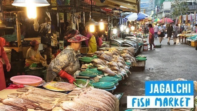 'Fresh Fish Market in Busan, South Korea'