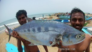 'Indian Funny guys Preparing BIG FISH FRY / Food Galata'