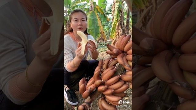 'Amazing Banana Eating Show@Best Ever Food Review Show'