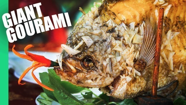 'The Ultimate MEKONG DELTA Tour  | Eating a GIANT GOURAMI!!'