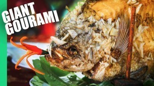 'The Ultimate MEKONG DELTA Tour  | Eating a GIANT GOURAMI!!'