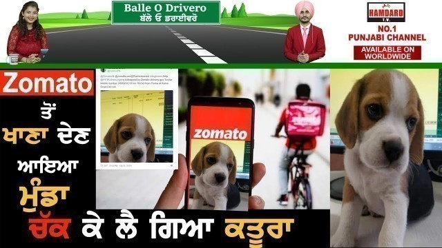 'Zomato delivery boy stole Puppy, When came to deliver the food | Balle o Drivero | Epi 66'