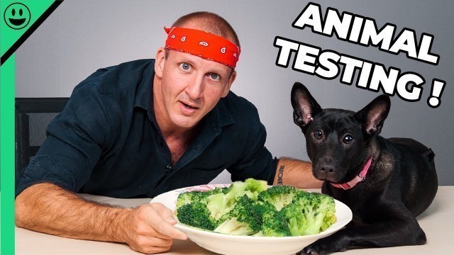 'Food Challenge with My Dog! My Wife is Gonna Kill Me!'