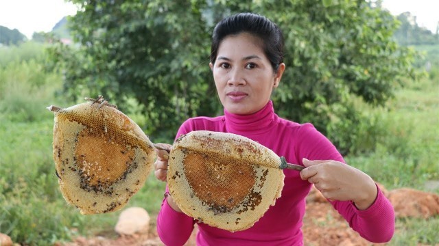 'Awesome Cooking  Eating Beehive Using Chicken Powder - Roasted Bees - Village Food Factory'