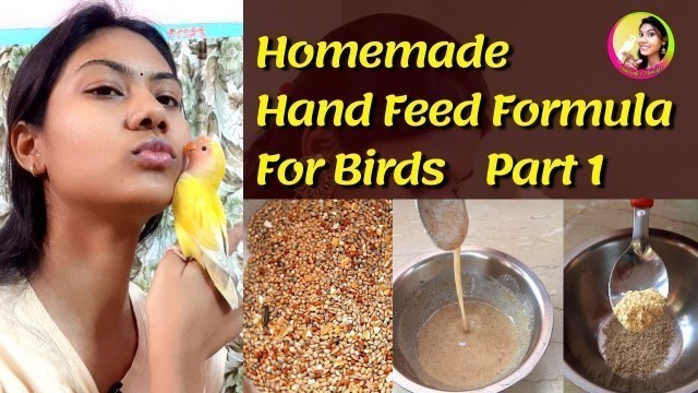 'Homemade Hand Feed formula For Bird|Lovebird, Budgies,Cockatiel,Java,Finches Hand feed Formula Part1'