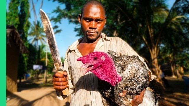 'Super RARE Kenyan Village Feast!!! First time caught on camera!!'