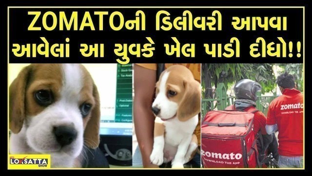 'Pune Dog kidnapping: Zomato Delivery Guy Comes To Drop Off Order, Walks Away With Customer\'s Pet Dog'