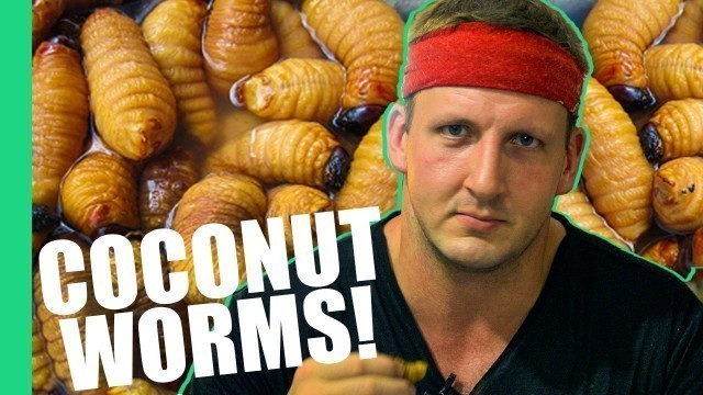 'HOW TO EAT COCONUT WORMS! (Inspirational)'