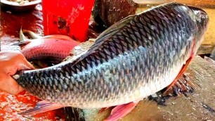 'Amazing Live Rohui Fish Cutting Skills in The Fish Market | Fastest Rohui Fish Cutting'