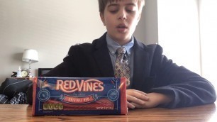 'Red Vines Twists | Original Red | Food Review | The Review Guy'