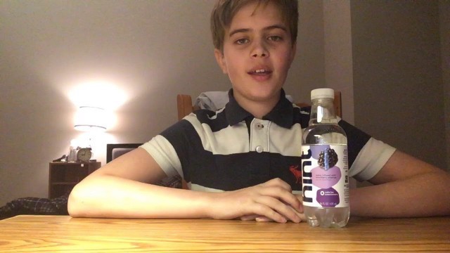 'Hint | Blueberry Flavor | Food Review | The Review Guy'