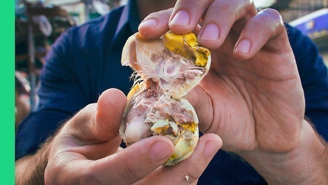 '18 Day Chicken Balut in Cebu City + Colon Street Food Tour!'