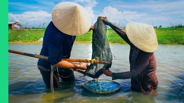 'This river is FULL of food! (Hến trộn + Bánh bèo)'