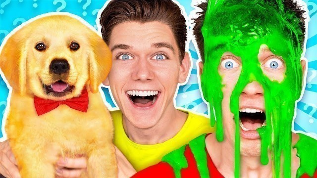 'Dogs Pick our Mystery Slime Challenge! Learn How To Make the Best DIY Funny Switch Up Oobleck Game'