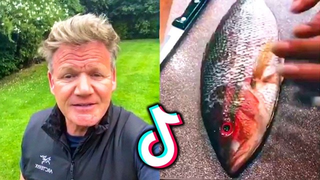 'All Gordon Ramsay reactions to bad TikTok cooking'