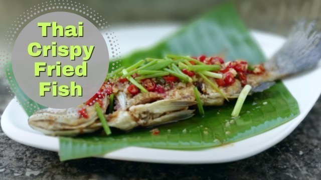 'Thai Food Crispy Fish with Chilli Sauce, Recipe ❤️️'