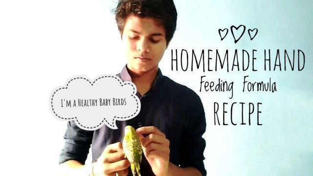 'Homemade Hand Feeding Formula Recipe for baby Budgies/ Zebra Finches/ Lovebirds || Hindi ||'