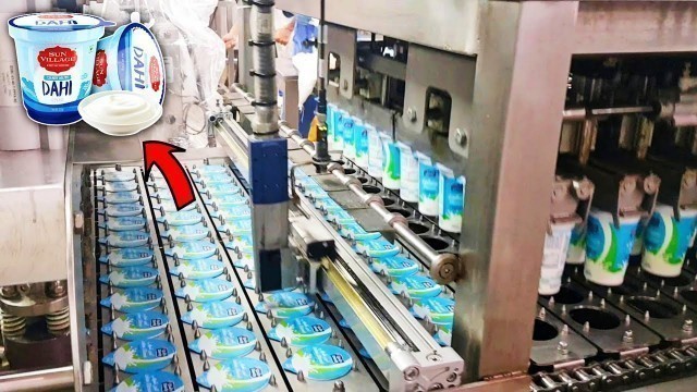 'How Yogurt Is Made In Factory | Dahi Manufacturing Process | Yogurt Production Line | Food Factory'