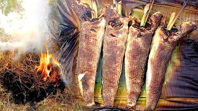 'Cooking Food Cover by Large Bowl on Earth | Grill Fish | Life of Natural Foods'