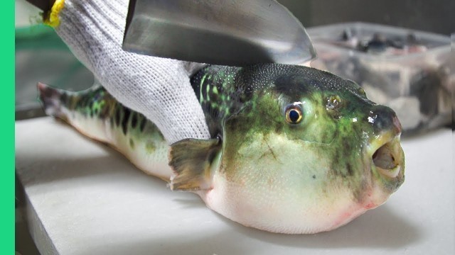 'Eating Japan\'s POISONOUS PufferFish!!! ALMOST DIED!!! *Ambulance*'