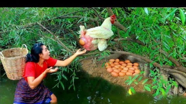 'Women find fish for food meet big White Chicken with egg at river - cooking soup for dog eating HD'