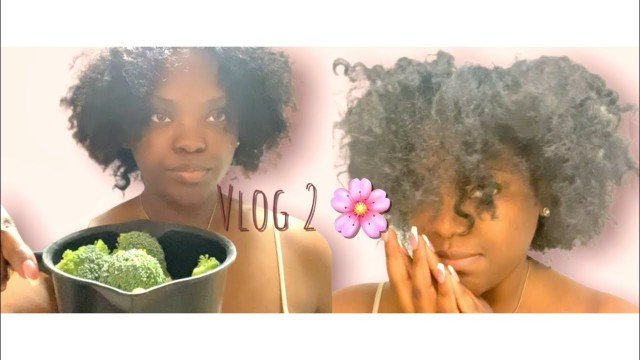 'VLOG 2 | MAKING FOOD, DOING MY HAIR, & MARLEY K 