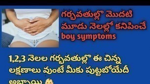 'first 3 months baby boy symptoms in pregnency telugu @sailufood&beautytips'