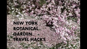 'Insider guide to the New York Botanical Garden: Top 3 hacks'