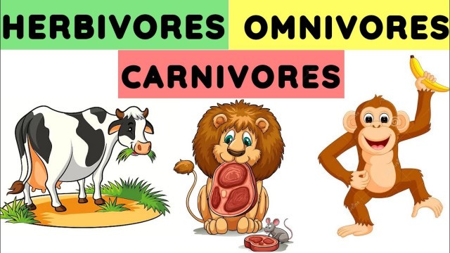 'Herbivores carnivores and omnivores | Animals and their food | Eating habits of animals |#herbivores'