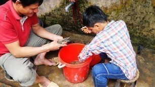 'HOA BAN FOOD ẩm thực tây bắc .ẾCH XÀO MĂNG CHUA'