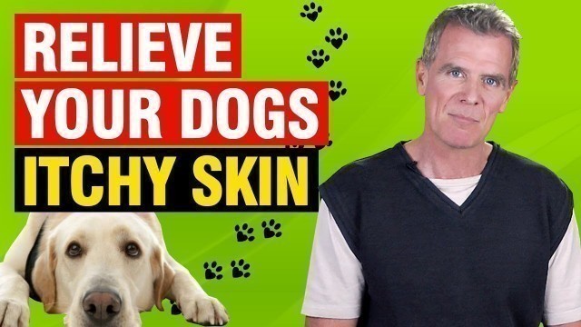 'Apple Cider Vinegar For Dogs Itching Skin (5 Ways to Bring FAST Relief)'