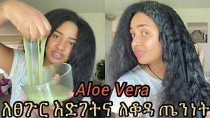 'ምርጥ የፀጉር ውህድ በዚ ሳምንት የተቀባሁት//Best Aloe Vera hair food for masiv hair growth'