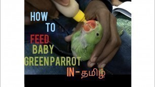 'EPS-24 How to feed baby green parrot in Tamil'