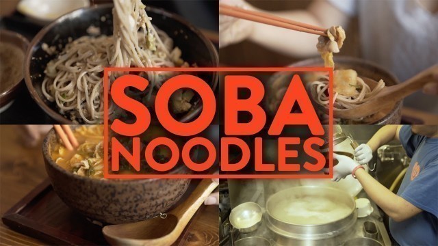 'DELICIOUS SOBA NOODLES (Japanese Buckwheat Noodles) - Fung Bros Food'