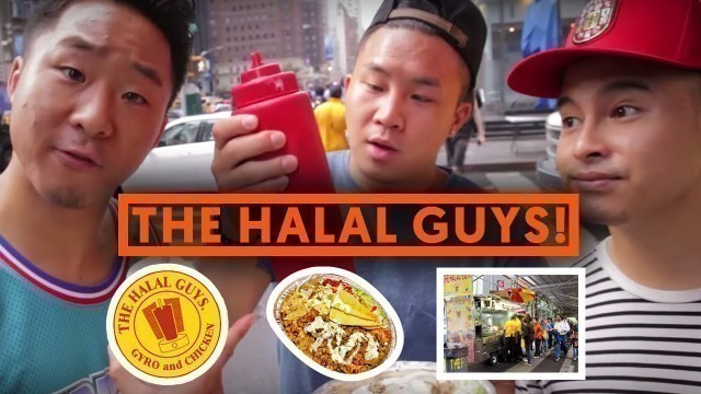 'HALAL GUYS CART 53RD & 6TH NYC (Chicken and Rice) | Fung Bros'