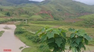 'HOA BAN FOOD CHIA SẺ KINH NGHIỆM QUAY VIDEO VÀ THÊM NHẠC NỀN'