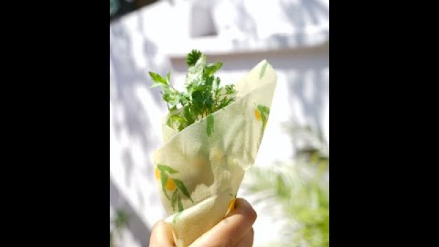 'DIY Food Wrap Hack | Beeswax Food Wrap | Zero Waste Street Food'