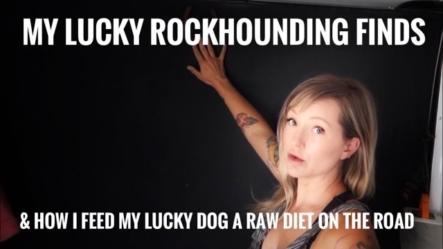 'We’re lucky - raw dog food diet living full time in a cargo trailer conversion'